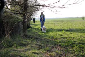 Pfoten-Schule Mantrailing