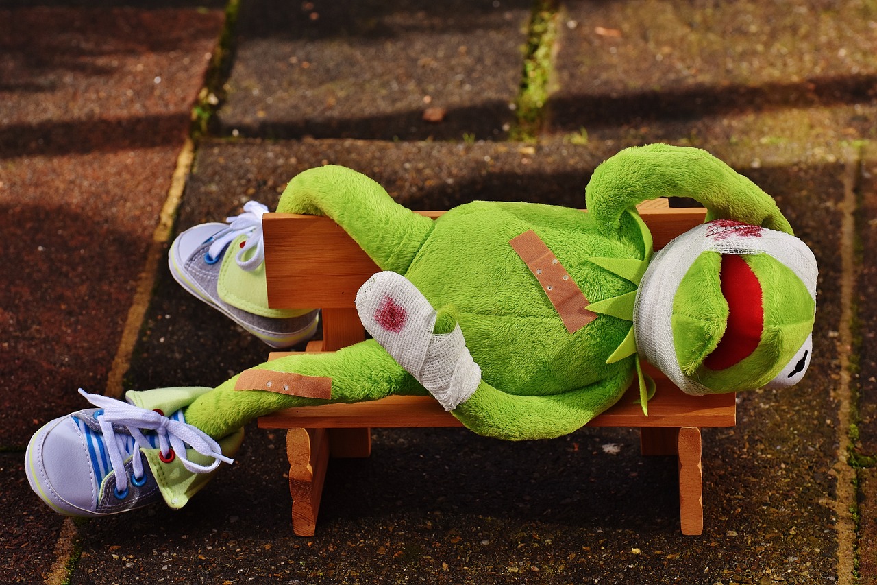 kermit-g075a42f40_1280