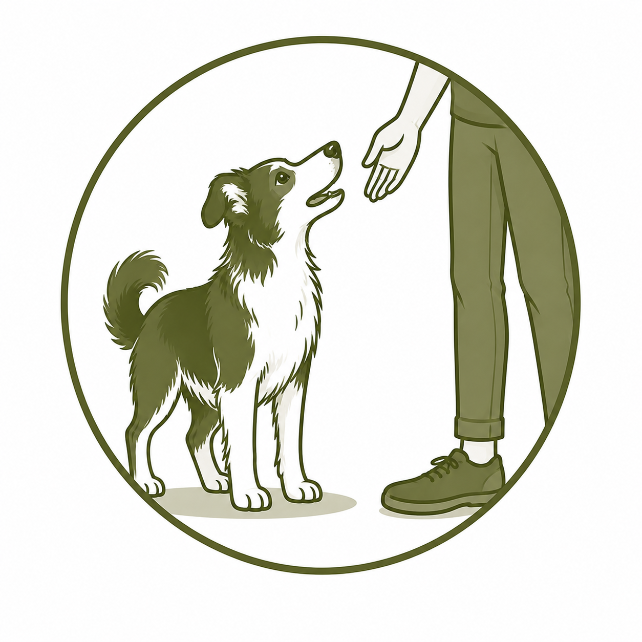 Junghundetraining_Pfoten-Schule